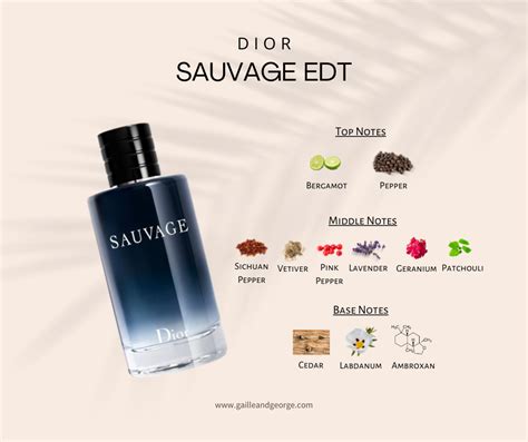 dior sauvage note